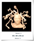 Medusa-1.0-Frontal-Vista-Cielo